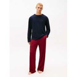 Tommy Hilfiger LS Jersey PJ  Set Print UM0UM03698-0W8, Ανδρική Πυζάμα Σετ Gift Box, DESERT SKY