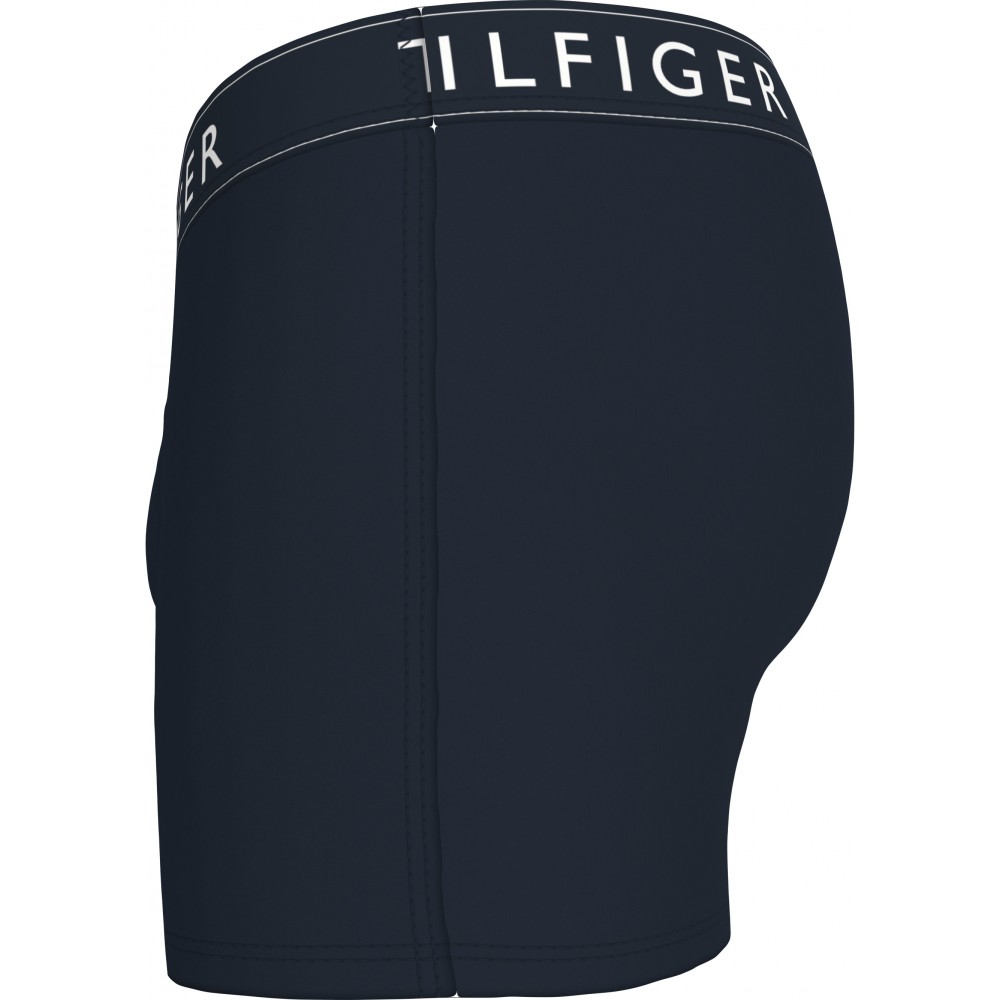 Tommy Hilfiger 3p Trunk UM0UM03520-0VC, Ανδρικά μπόξερ Σετ 3 τεμαχίων, MULTI COLOR