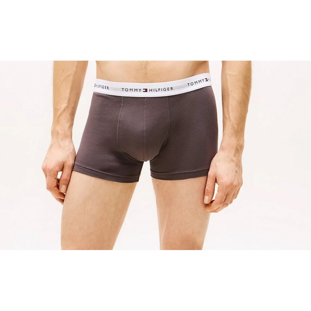 Tommy Hilfiger 3p Trunk Print UM0UM02768-0UB, Ανδρικά μπόξερ Σετ 3 τεμαχίων με σχέδιο, MULTI COLOR