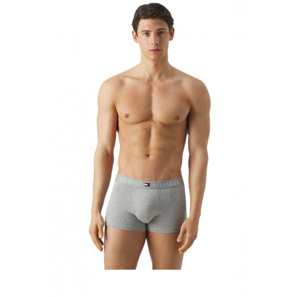Tommy Hilfiger UM0UM03908-0XT, 3pack Original Logo Waistband Trunks DSky/Grey/DSky
