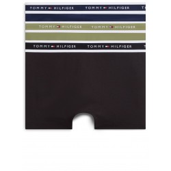 Tommy Hilfiger UM0UM03981-0RX, 3pack  Logo Waistband Trunk, MULTI COLOR