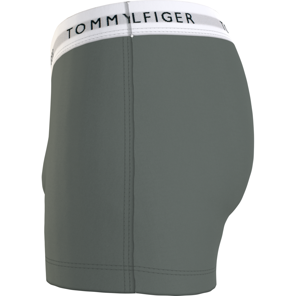 Tommy Hilfiger 3p Trunk UM0UM02761-0T9 Ανδρικά μπόξερ Σετ 3 τεμαχίων, MULTI COLOR