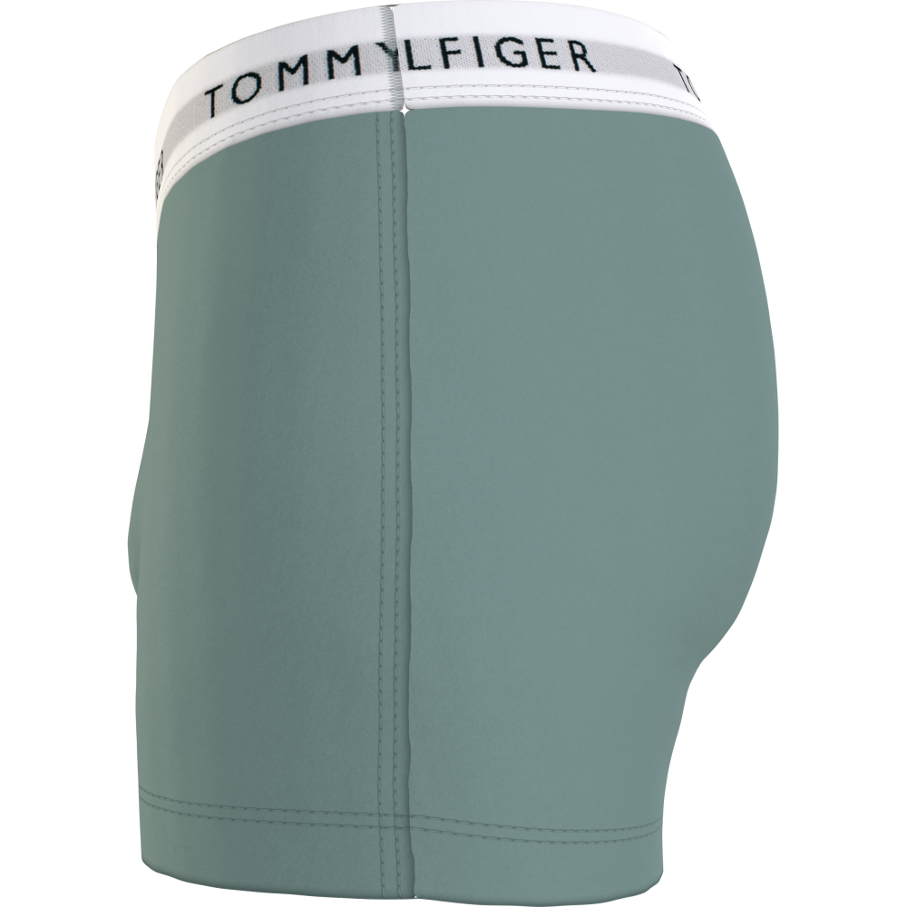 Tommy Hilfiger 3p Trunk UM0UM02761-0XY, Ανδρικά μπόξερ Σετ 3 τεμαχίων με άσπρο λάστιχο, MULTI COLOR