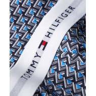 Tommy Hilfiger 3p Trunk Print UM0UM02768-0Y2, Ανδρικά μπόξερ Σετ 3 τεμαχίων με σχέδιο, MULTI COLOR