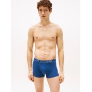 Tommy Hilfiger 3p Trunk UM0UM03520-0WL, Ανδρικά μπόξερ Σετ 3 τεμαχίων, MULTI COLOR