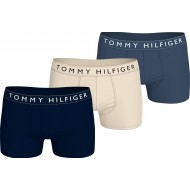 Tommy Hilfiger 3p Trunk UM0UM03520-0WL, Ανδρικά μπόξερ Σετ 3 τεμαχίων, MULTI COLOR